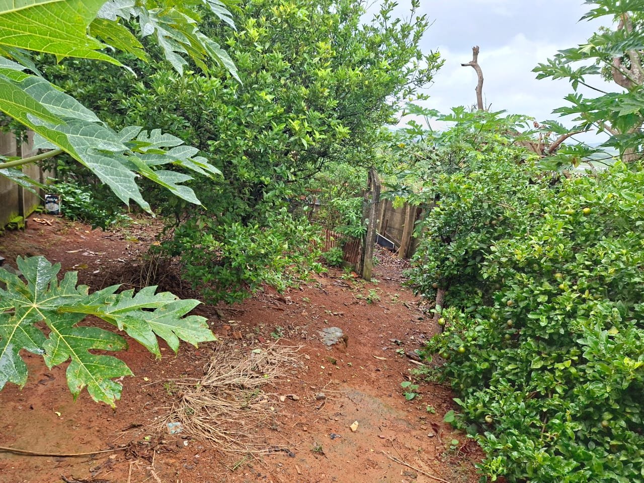 Casa à Venda – Bairro Jardim Nova Esperança